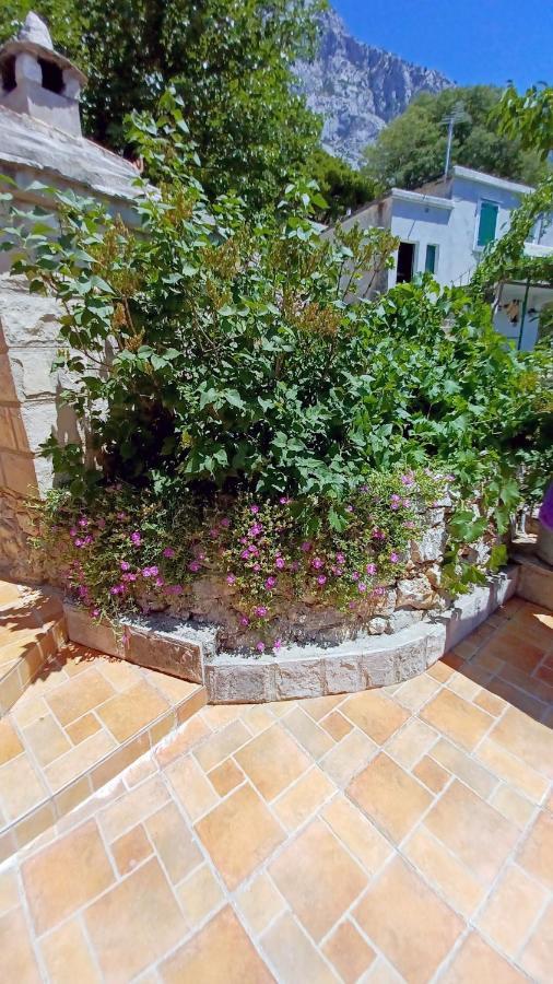 באסקה וודה Holiday House Terezija מראה חיצוני תמונה