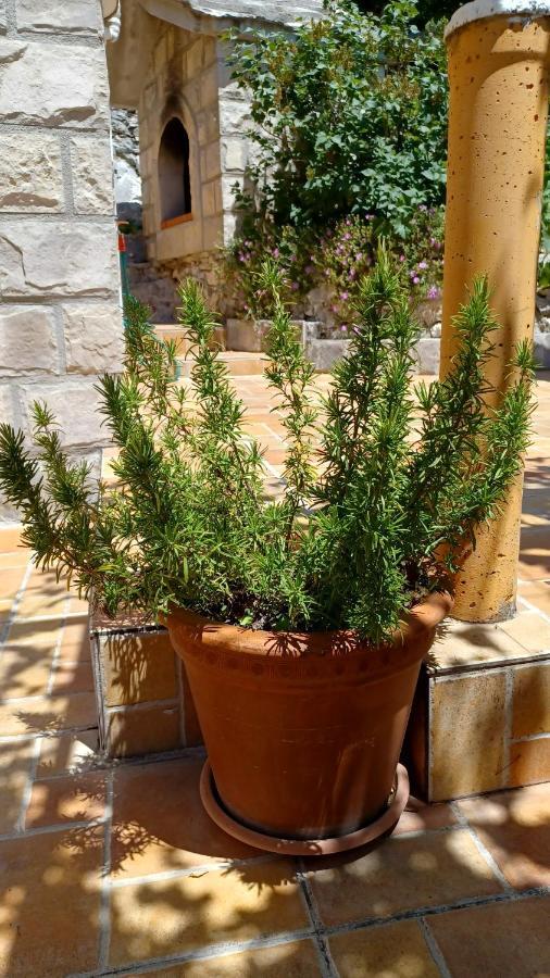 באסקה וודה Holiday House Terezija מראה חיצוני תמונה