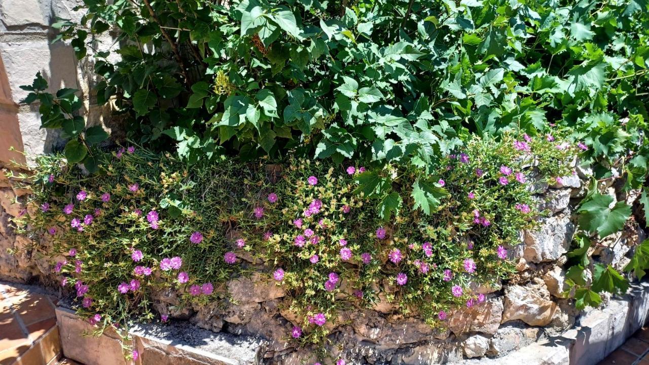 באסקה וודה Holiday House Terezija מראה חיצוני תמונה