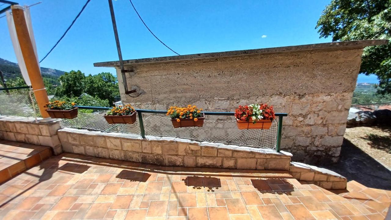 באסקה וודה Holiday House Terezija מראה חיצוני תמונה