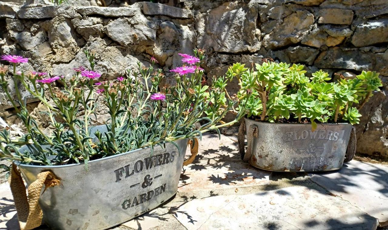 באסקה וודה Holiday House Terezija מראה חיצוני תמונה